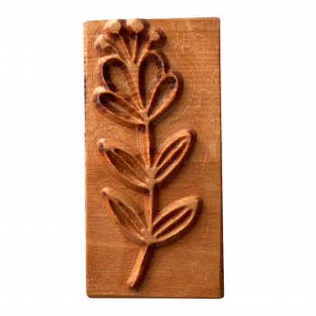 Rechteck-Stempel--Pflanze 15 TONA arts